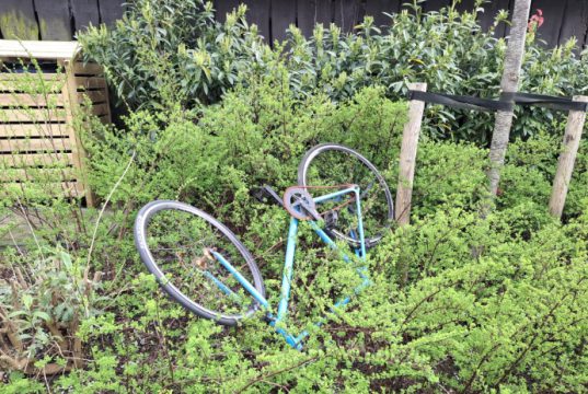 Zwerfafval blijft hardnekkig probleem in Soesterberg Foto: Johan Pel - Zwerfafval blijft hardnekkig probleem in Soesterberg