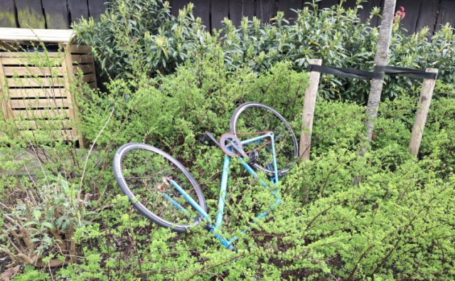 Foto: Johan Pel - Zwerfafval blijft hardnekkig probleem in Soesterberg