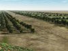 De geschiedenis van de verkeersader Soesterberg