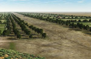 De geschiedenis van de verkeersader Soesterberg De geschiedenis van de verkeersader Soesterberg