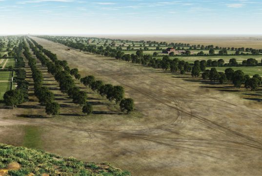De geschiedenis van de verkeersader Soesterberg De geschiedenis van de verkeersader Soesterberg