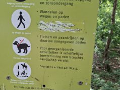 Inwoner Soesterberg krijgt direct boete voor loslopende hond