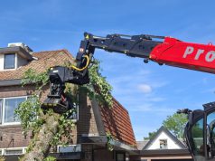 Boom na twee dagen van woning verwijdert in Soesterberg Boom na twee dagen van woning verwijdert in Soesterberg
