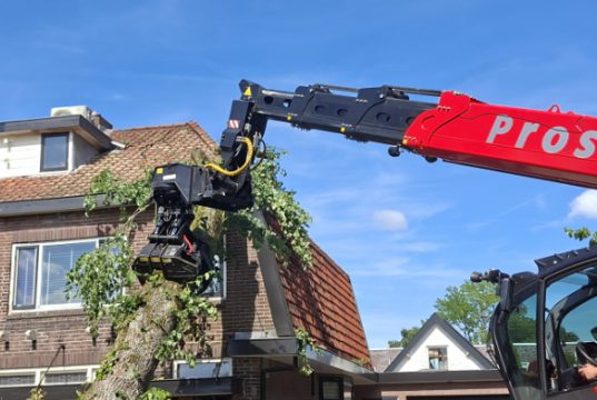 Boom na twee dagen van woning verwijdert in Soesterberg Boom na twee dagen van woning verwijdert in Soesterberg