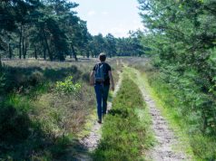 Mindful wandelen dit weekend in Soesterberg Mindful wandelen dit weekend in Soesterberg