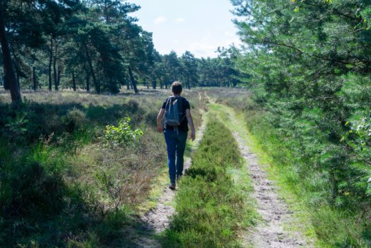Mindful wandelen dit weekend in Soesterberg Mindful wandelen dit weekend in Soesterberg