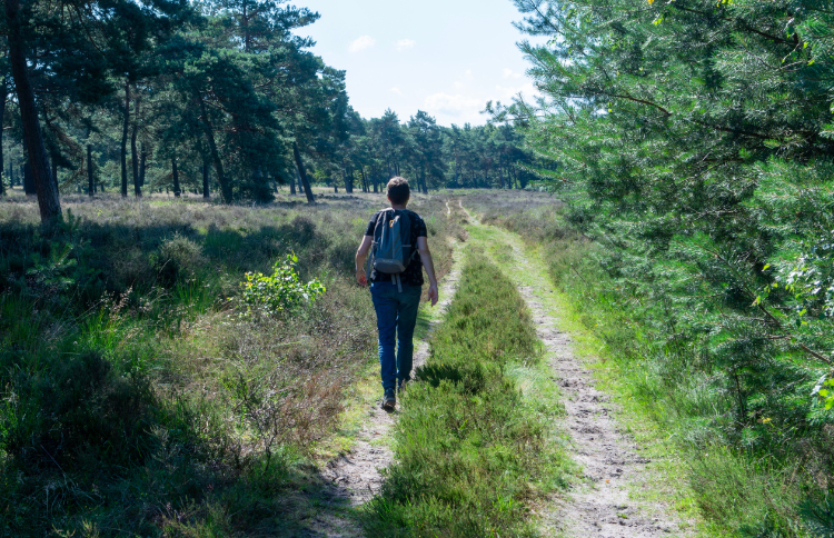 Mindful wandelen dit weekend in Soesterberg