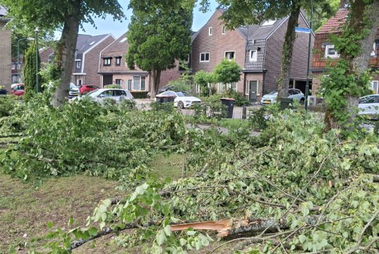 Veel onduidelijkheid na stormschade in Soesterberg De opruimwerkzaamheden in het dorp zijn inmiddels gestart.